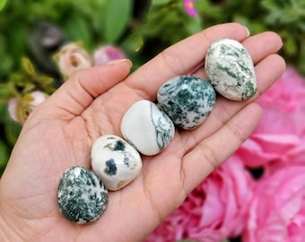 Tree Agate Tumbled Stone, Polished Green Crystal, Worry Gem