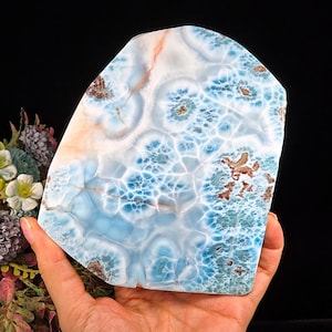 475g Larimar Scheibe, XL AAA + polierter Dominikanischer Larimar mit Ozean Mustern, hochwertige Kristall Vitrine