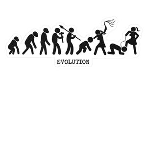 Evolution vinyl decal S&M, Yes Mistress, Femdom, Dominatrix Worship Sissy pegging lifestyle master slave bitch brat stickerbook scrapbooking