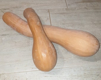 20 semillas de calabacín "Longue de Nice", Cucurbita moschata, variedad tradicional, semillas orgánicas de polinización abierta, origen Francia