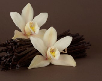 Vanilla Passion Fragrance Oil – Candle, Soap & Room Spray Scent