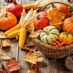 Maple Cinnamon Pumpkin Fragrance Oil - For Candle Making, Soap Making, Room Sprays and more - Candeo Candle Supply