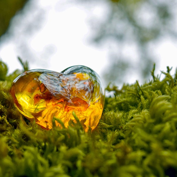 Oakmoss & Amber Fragrance Oil - Candeo Candle Supply - For Candle Making, Soap Making and More