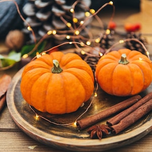 Cinnamon Pumpkin Fragrance Oil - For Candle Making, Soap Making, Room Sprays and more - Candeo Candle Supply