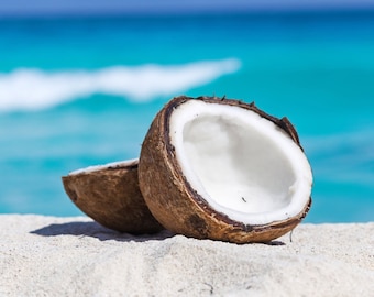 Coconut Milk Fragrance Oil – Candle, Soap & Room Spray Scent