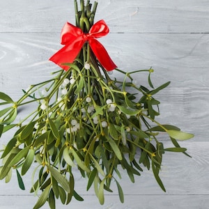 Under the Mistletoe Fragrance Oil - Candle, Soap & Room Spray Making