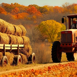 Hay Rides Fragrance Oil - For Candle Making, Soap Making, Room Sprays and more - Candeo Candle Supply