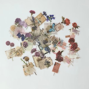 Pack d'autocollants floraux pour téléphone, journal indésirable, autocollant floral, autocollant botanique vintage pour bouteille d'eau, autocollant de scrapbooking nature, rétro