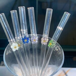 Reusable Glass Straw Set of 4 Eco Friendly
