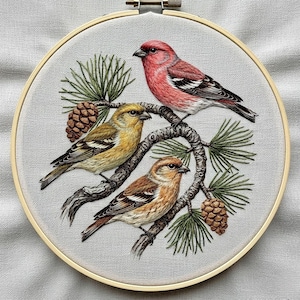 Pode incluir: Obra de arte bordada com três pássaros coloridos empoleirados num galho com agulhas de pinheiro e pinhas. Os pássaros são em tons de vermelho, amarelo e castanho, sobre um tecido cinza claro dentro de um bastidor de bordado de madeira.