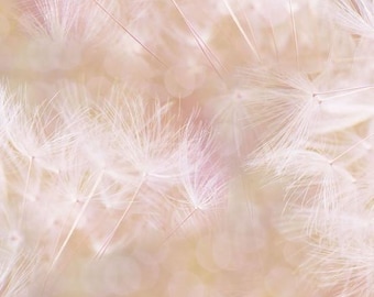 Hoffman Farmhouse Blooms color 5045-zy, peach