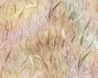 Hoffman Serene Daydream color 5127-84, Wheat