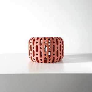 Ritar Orchid Planter: Geometric Design with Drainage for Healthy Plants and Aeration