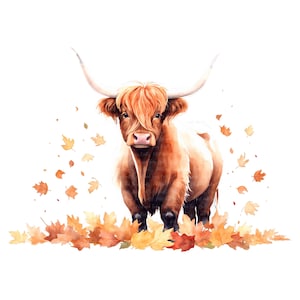 12 cliparts PNG aquarelle vaches Highland • Graphismes de scrapbooking pour POD, sublimation, cartes de téléchargement numérique