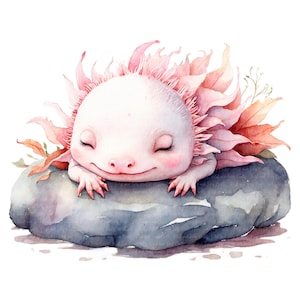 12 Axolotl Watercolor PNG Clipart • Scrapbook Graphics for POD, Sublimation, Cards • jpeg Bundle • PetalandTwigCrafts