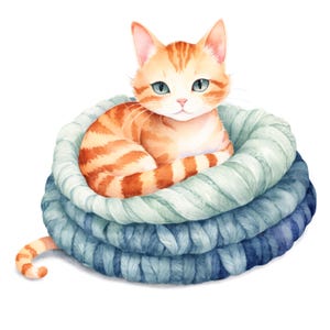 12 jolis chats de grange, recroquevillé sur une couverture en tricot, clipart PNG • Graphismes d'album pour POD, sublimation, cartes