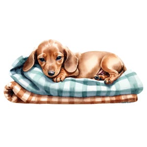 12 cuccioli di bassotto rannicchiati in una coperta lavorata a maglia in formato PNG • Grafica per album di ritagli per POD, sublimazione, biglietti • Pacchetto JPEG • PetalandTwigCrafts