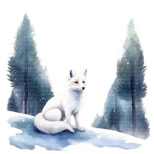 12 Arctic Fox Watercolor PNG Clipart • Scrapbook Graphics for POD, Sublimation, Cards • jpeg Bundle • PetalandTwigCrafts