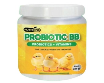 Multivitamines probiotiques pour poussins, vitamines et probiotiques pour oiseaux, supplément pour oiseaux 225 g