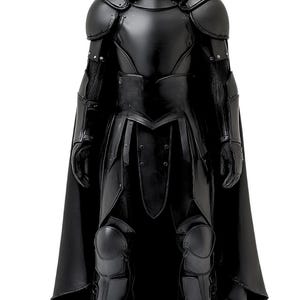 May include: A black hooded figure wearing full body armor with a cape. The figure is standing with its hands at its sides.