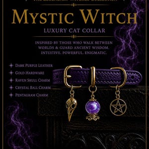 Puede incluir: Un collar para gato de cuero morado oscuro con herrajes dorados que presenta tres dijes colgantes: un cráneo de cuervo dorado, una bola de cristal morada y un pentagrama dorado. El texto dice The Legendary Witches Collection, Mystic Witch.