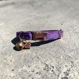 May include: A purple cat collar with a gold-colored bell and heart charm. The collar has a gold-colored buckle with the name "Salem" engraved. The collar is decorated with black spots.