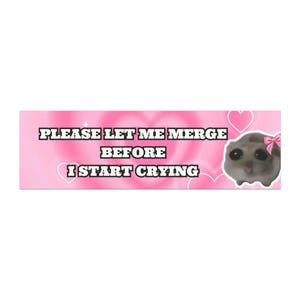 Car Magnet, Please Let Me Merge Before I Start Crying Car Magnet, Funny Magnet, Gift for Her, Gift for Him