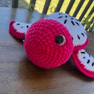 Big Food Turtle