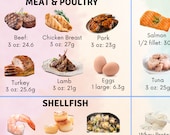 High Protein Foods High Protein Food Chart Protein Food List Low Carb Food Guide Muscle Building Keto Grocery List Nutrition Guide Keto Food