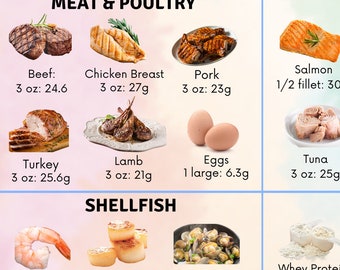 Aliments riches en protéines Tableau des aliments riches en protéines Liste des aliments protéinés Guide alimentaire faible en glucides Renforcement musculaire Liste de courses Keto Guide nutritionnel Aliments céto