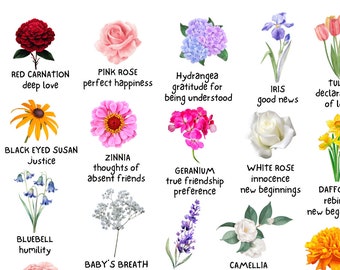 La signification secrète des fleurs Symbolisme botanique Flower Club Cadeau du jardinier Guide floral Tableau des fleurs Symbolisme des fleurs Impression artistique