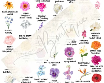 The Secret Meaning of Flowers Botanical Symbolism Meaning of Flowers Floral Guide Flower Chart Flower Symbolism Flower Art Print