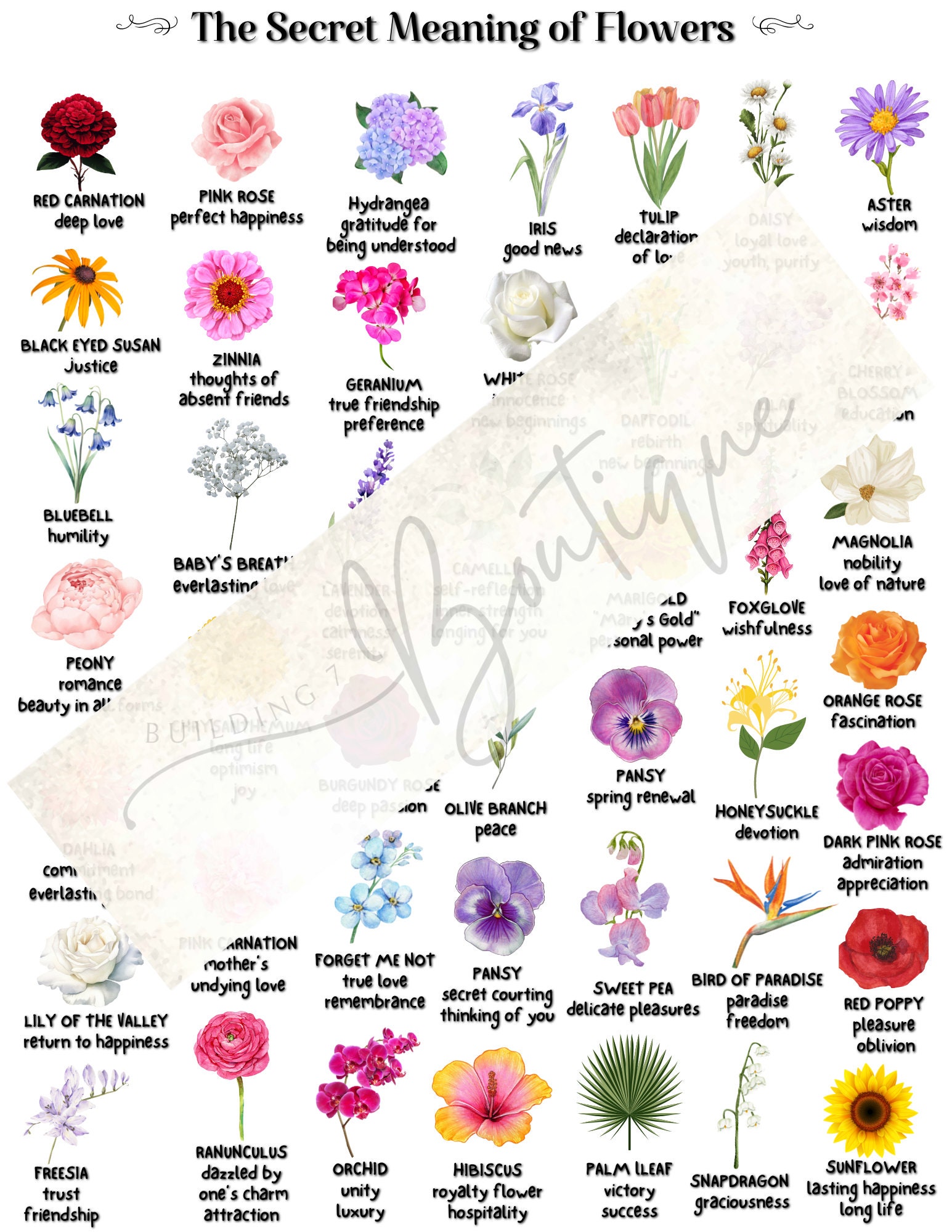 The Secret Meaning of Flowers Botanical Symbolism Meaning of Flowers