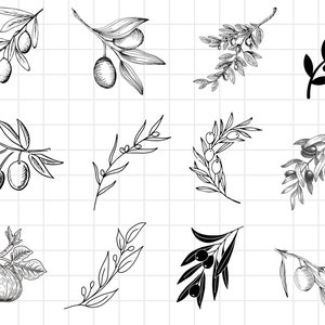 May include: A set of ten black and white line drawings of olive branches and figs. The drawings are simple and elegant, and would be perfect for use in a variety of projects, such as invitations, cards, and packaging.