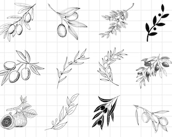 Olive Branch SVG Bundle, Olive Tree svg, Olive Branch dxf, Olive Branch png, Olive Branch eps, Olive Branch vector, Olive Branch print