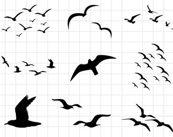 Seagull bundel, SVG, JPG, PNG, commercieel gebruik, digitale cut-bestanden, bestanden voor Cricut, Flying Bird, Sea Gull Svg, Instant Download, Bird Svg