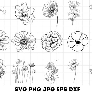 Poppy Svg Bundle, Poppy Clipart, Botanical Svg, Flower Svg, Poppy Flower Cut Files For Cricut, Wildflower Svg high Quality Bundle