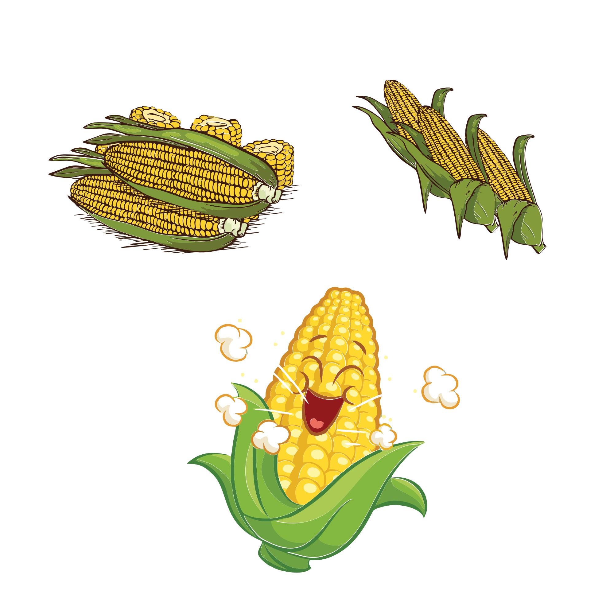 Vector File Corn Corn Svg Bundle, Funny Corn Clipart, Corn Farmer Vector, Corn Stalk ...