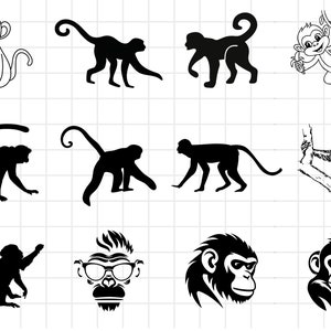 Monkey Svg, Monkey Bundle, Monkey clipart, Monkey png, Monkey Cut Files for Cricut, Cute Monkey, Baby Monkey, Svg Bundle