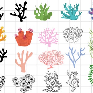 Coral SVG Bundle, Best Quality Bundle, Coral Clipart, Coral SVG Cut Files for Cricut, Coral Silhouette, Seaweed svg, Seaweed png, Sea Plant