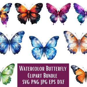 Aquarell Schmetterling Blumen Botanische Landschaft Clipart Bundle von 8 - Transparenter Hintergrund Digital Download PNG Grafiken - Kommerzielle Nutzung