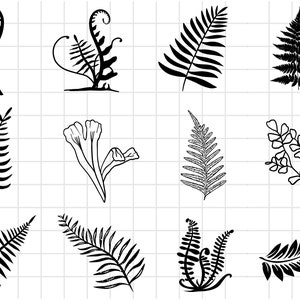 Fern Leaves Svg Bundle, Fern Cricut, Fern Svg Bundle, Fern Leaf SVG, Fern Clipart, Boho Svg, Botanical Silhouette, Leaf Silhouette,Instant