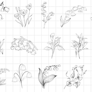 Könnte beinhalten: Eine Sammlung von 12 Schwarzweiß-Linienzeichnungen verschiedener Blumen, darunter Maiglöckchen, Calla-Lilien und Sonnenblumen.