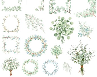 Clipart de eucalipto en acuarela, clipart de vegetación en acuarela, eucalipto PNG, corona de eucalipto con borde, clipart de boda, hojas verdes, PNG