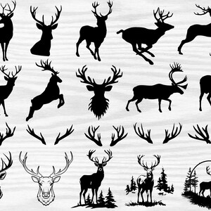 Deer Svg Bundle , Deer in the Forest Svg ,deer Head Clipart, Forest ...