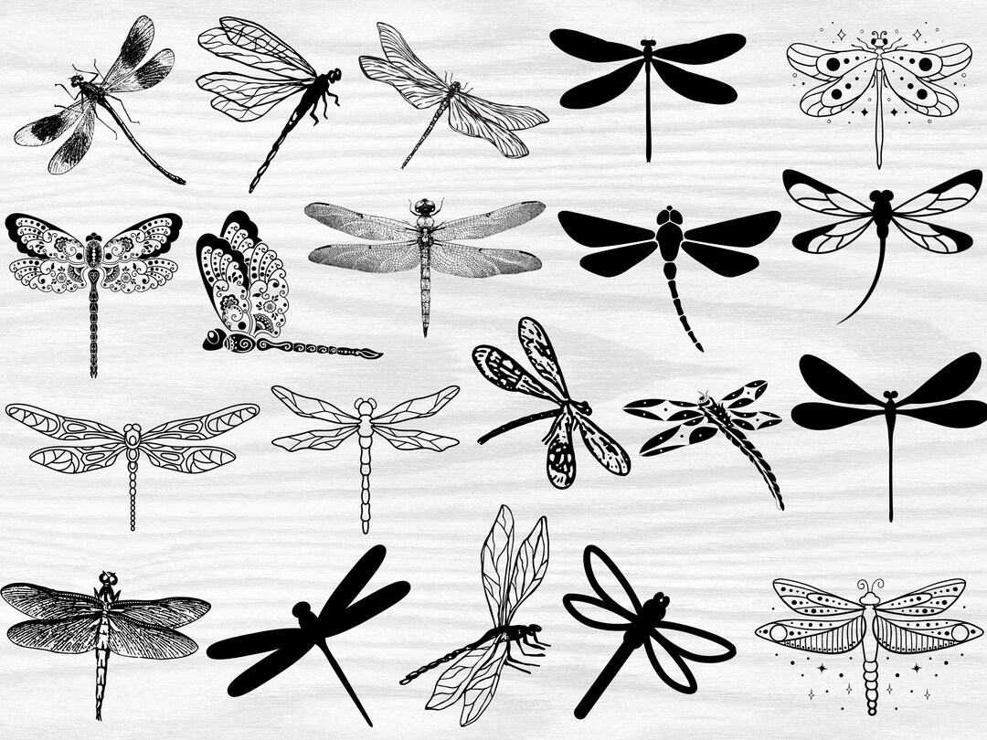 Dragonfly SVG Bundle , Dragonfly Png , Dragonfly Silhouette ,dragonfly ...