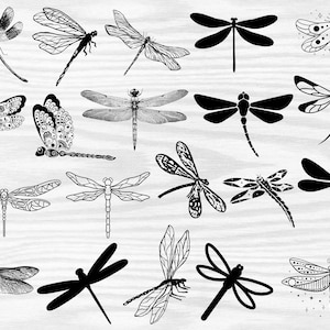 Dragonfly SVG Bundle , Dragonfly Png , Dragonfly Silhouette ,Dragonfly SVG Cut Files for Cricut , Dragonfly Silhouette, Dragonflies Svg
