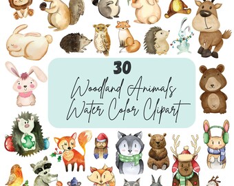 Woodland Clipart, Watercolor Woodland Animals Clipart, Cute Woodland Animals PNG, Nursery Animals, Baby Shower Forest Animals.
