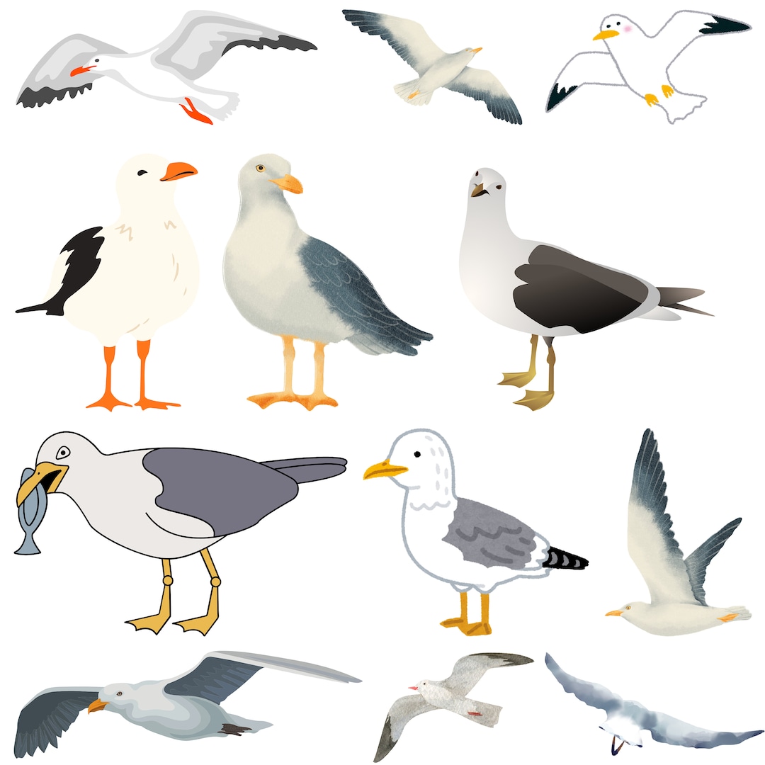 Seagull SVG Bundle, Seagull SVG Cut Files for Cricut, Seagull ...