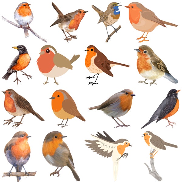 Robin bird SVG Bundle, Robin bird vector, Robin bird design, Robin bird outline, Robin bird dxf, Robin Svg files For Cricut